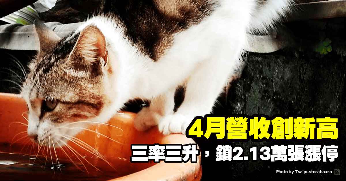三率三升,4月營收創新高,鎖2.13萬張漲停