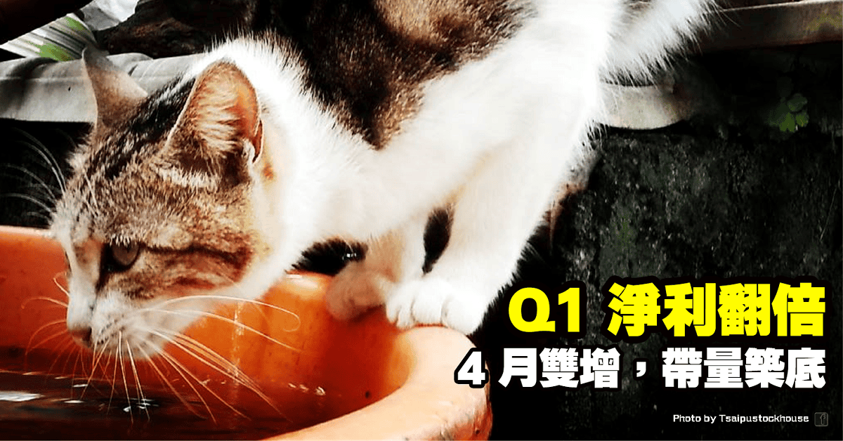 Q1 淨利翻倍,4 月雙增,帶量築底