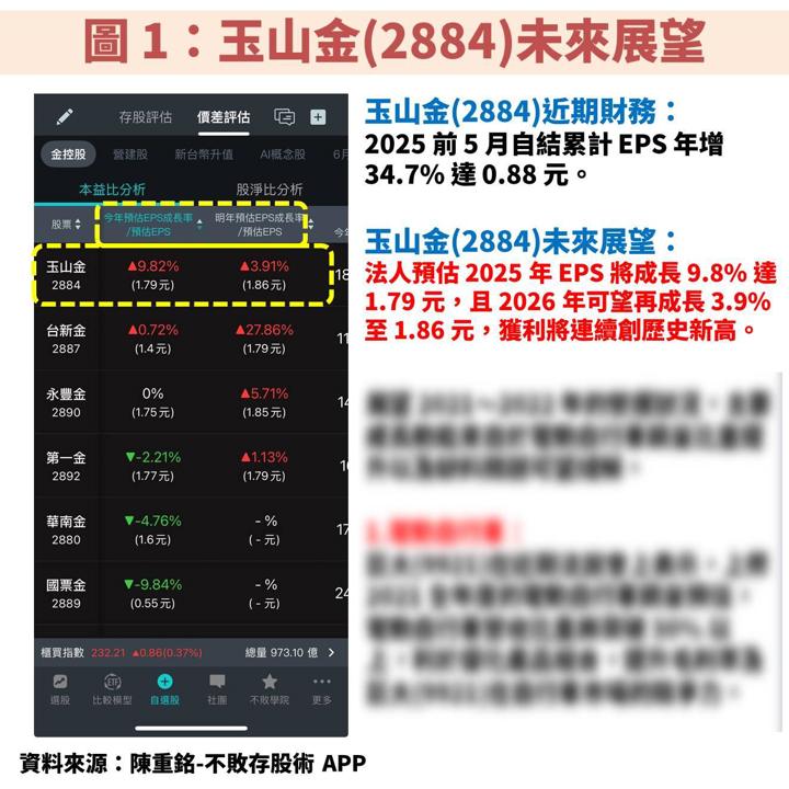 玉山金(2884):2025 唯一獲利成長的金控!現在能存股嗎?
