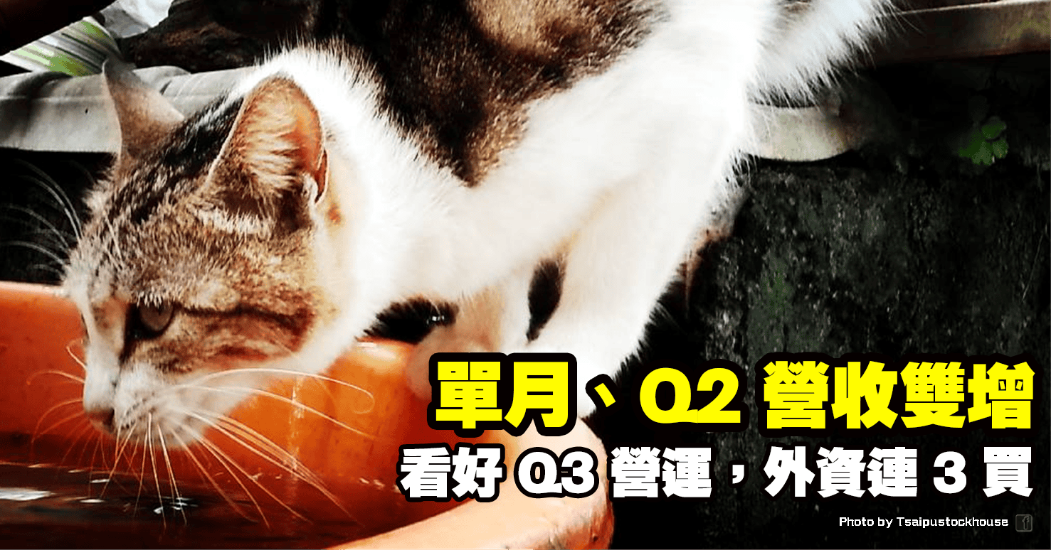 單月、Q2 營收雙增，看好 Q3 營運，外資連 3 買