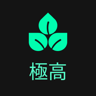 【高手進階】好葉智能選股 App 使用指南:洞悉股票「體質」與「價值」,讓數據為你的投資決策賦能