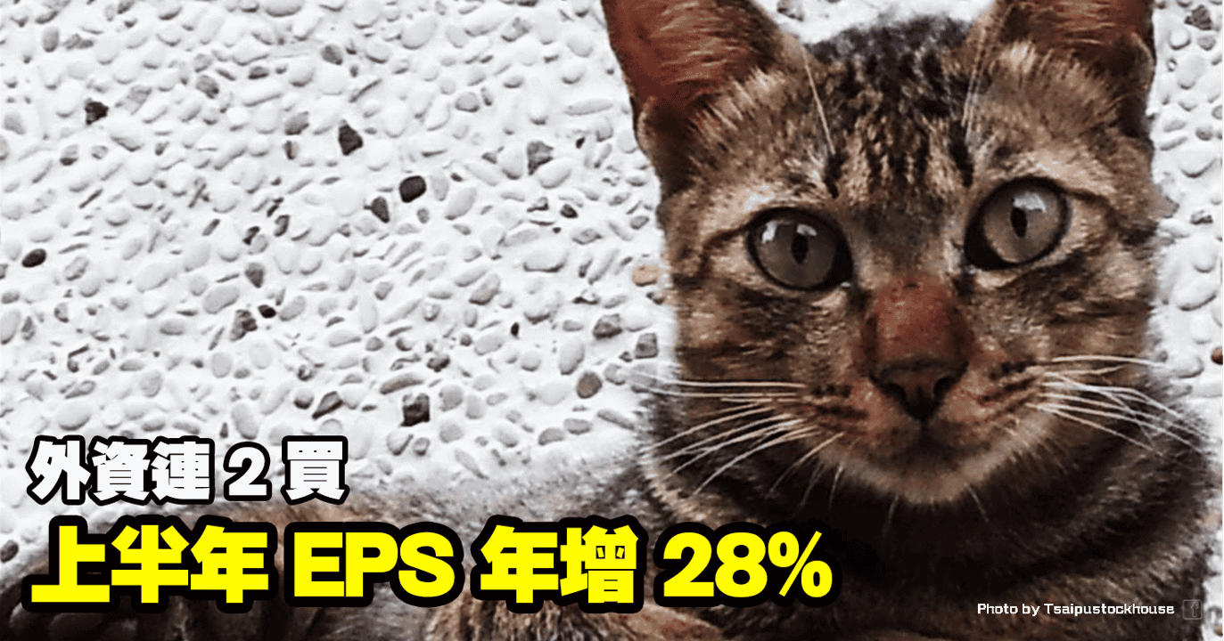 上半年 EPS 年增 28%,外資連 2 買