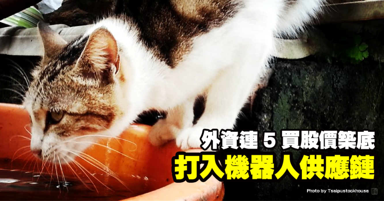 打入機器人供應鏈，外資連 5 買股價築底