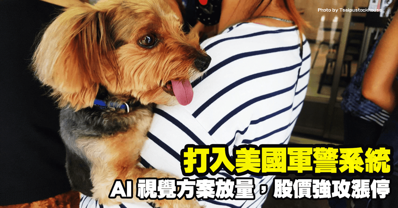 打入美國軍警系統，AI 視覺方案放量，股價強攻漲停