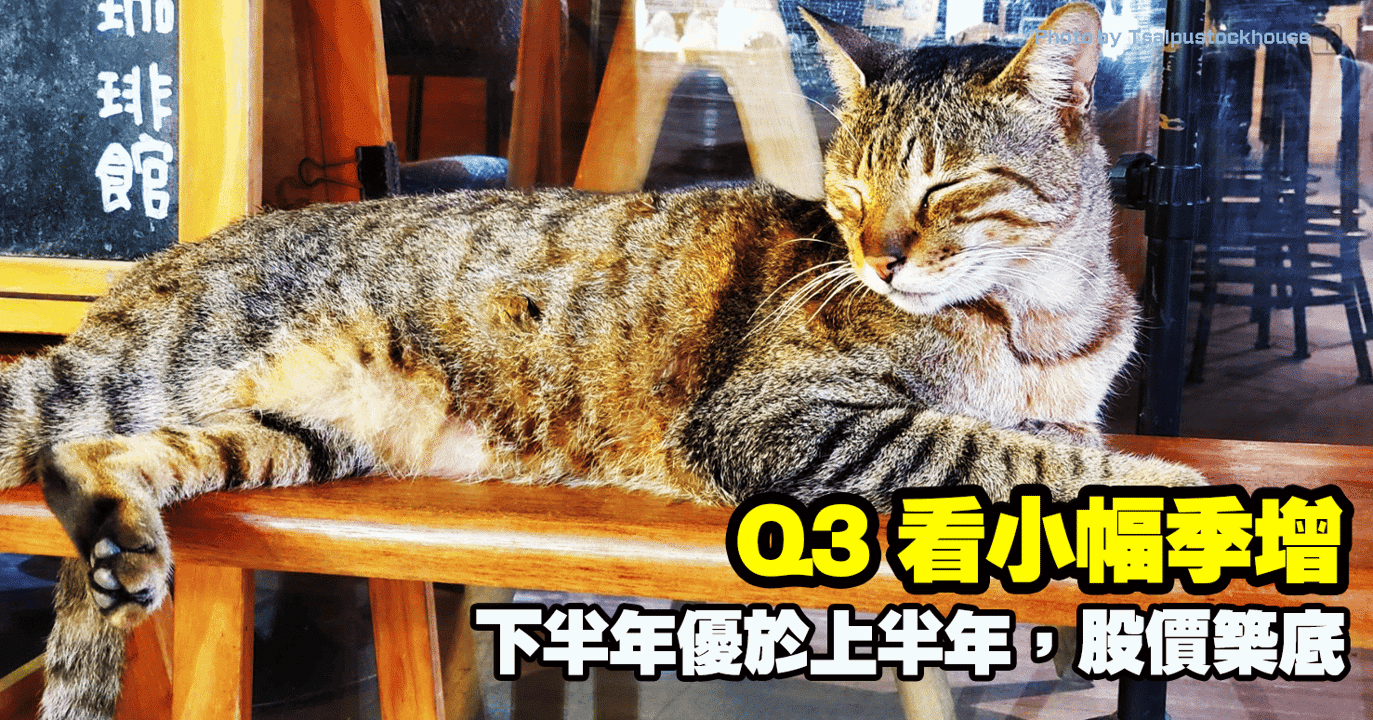 Q3 看小幅季增,下半年優於上半年,股價築底