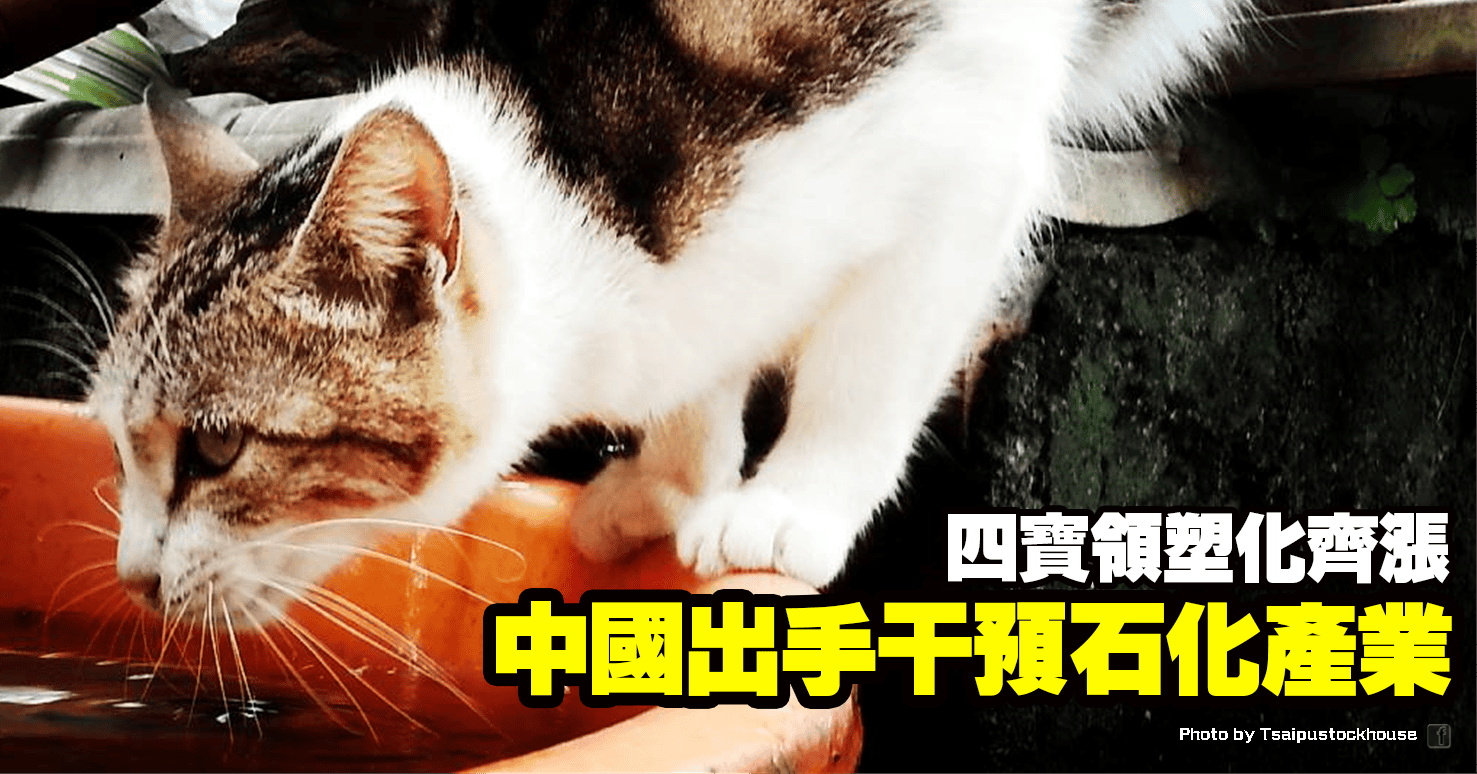 中國出手干預石化產業,四寶領塑化齊漲