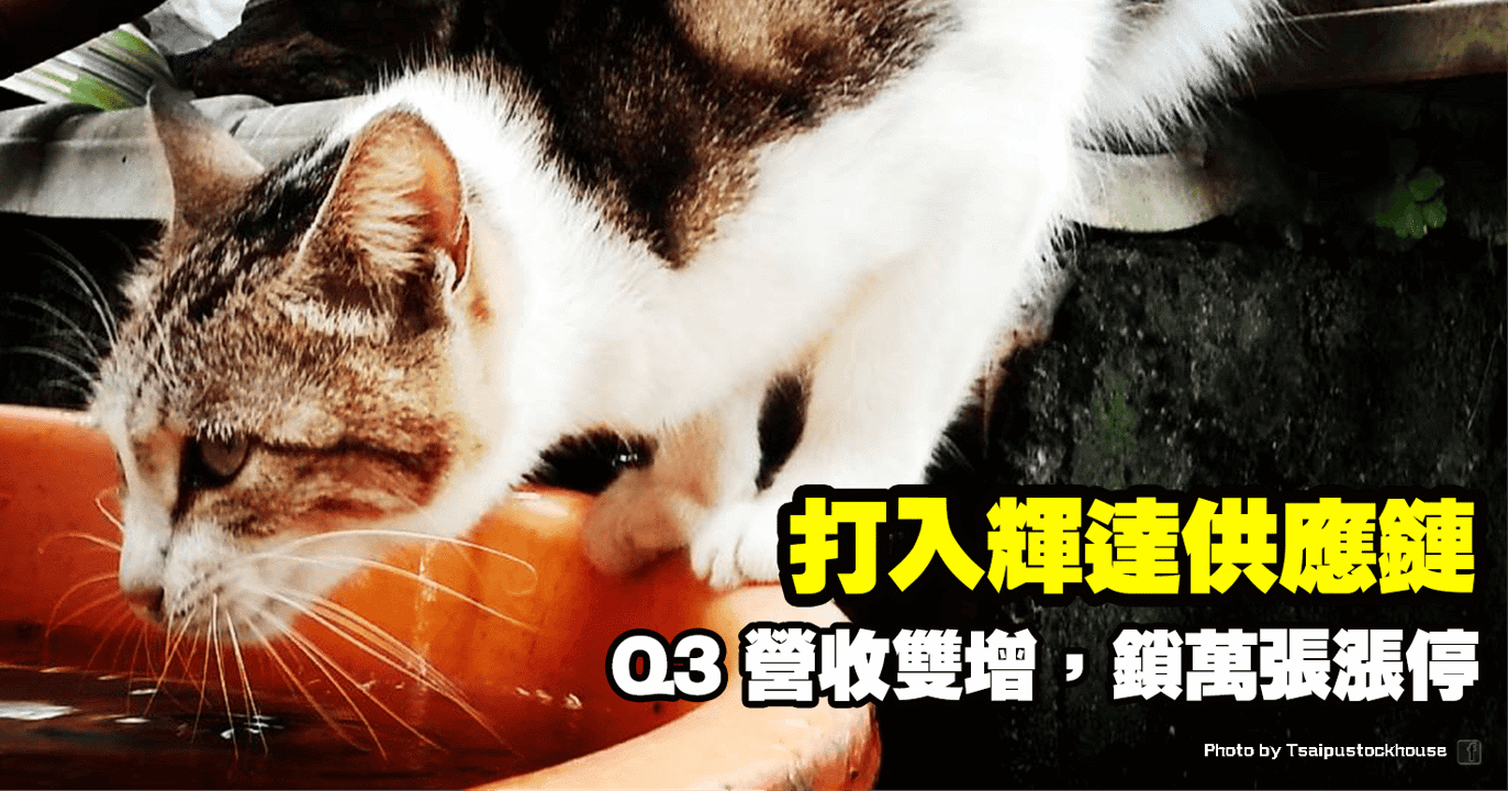 打入輝達供應鏈，Q3 營收雙增，鎖萬張漲停