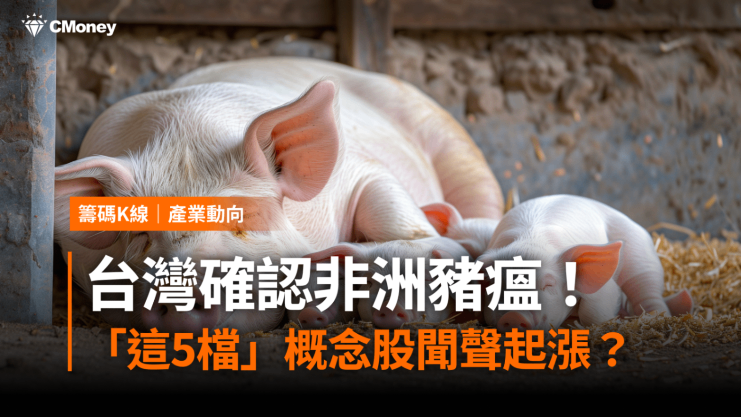 台灣確認非洲豬瘟，「這2檔」概念股強鎖漲停！-CMoney官方| CMoney投資網誌