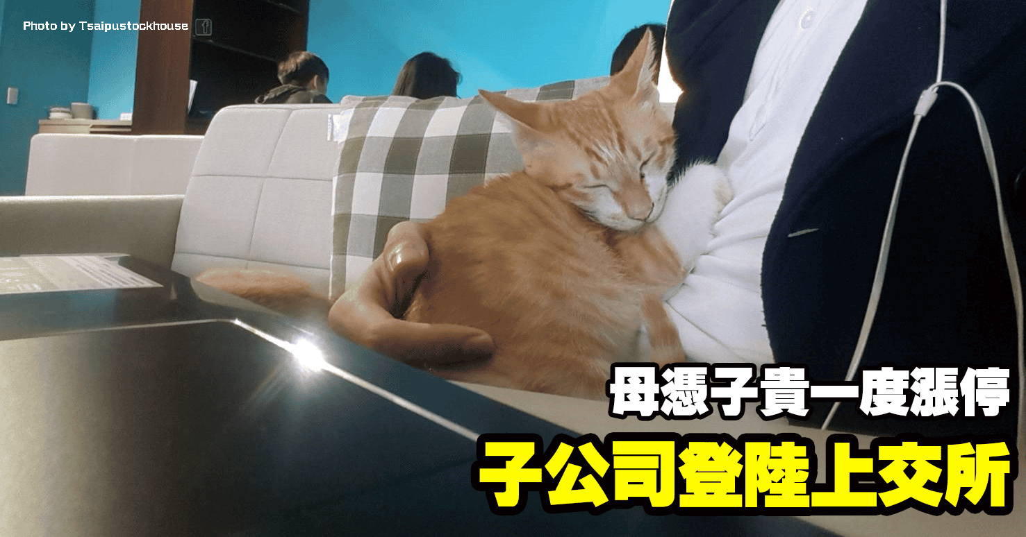 子公司登陸上交所，母憑子貴一度漲停