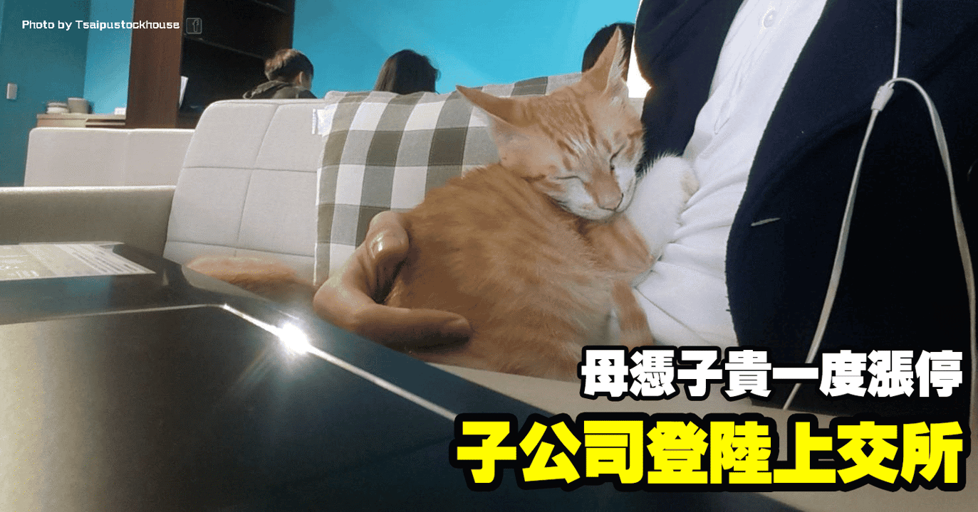 子公司登陸上交所,母憑子貴一度漲停
