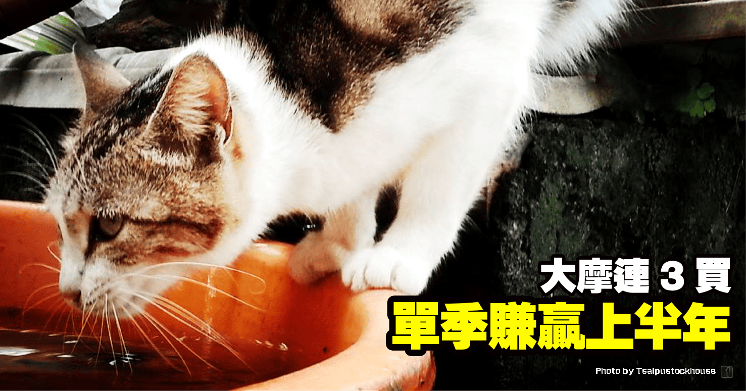 單季賺贏上半年,大摩連 3 買