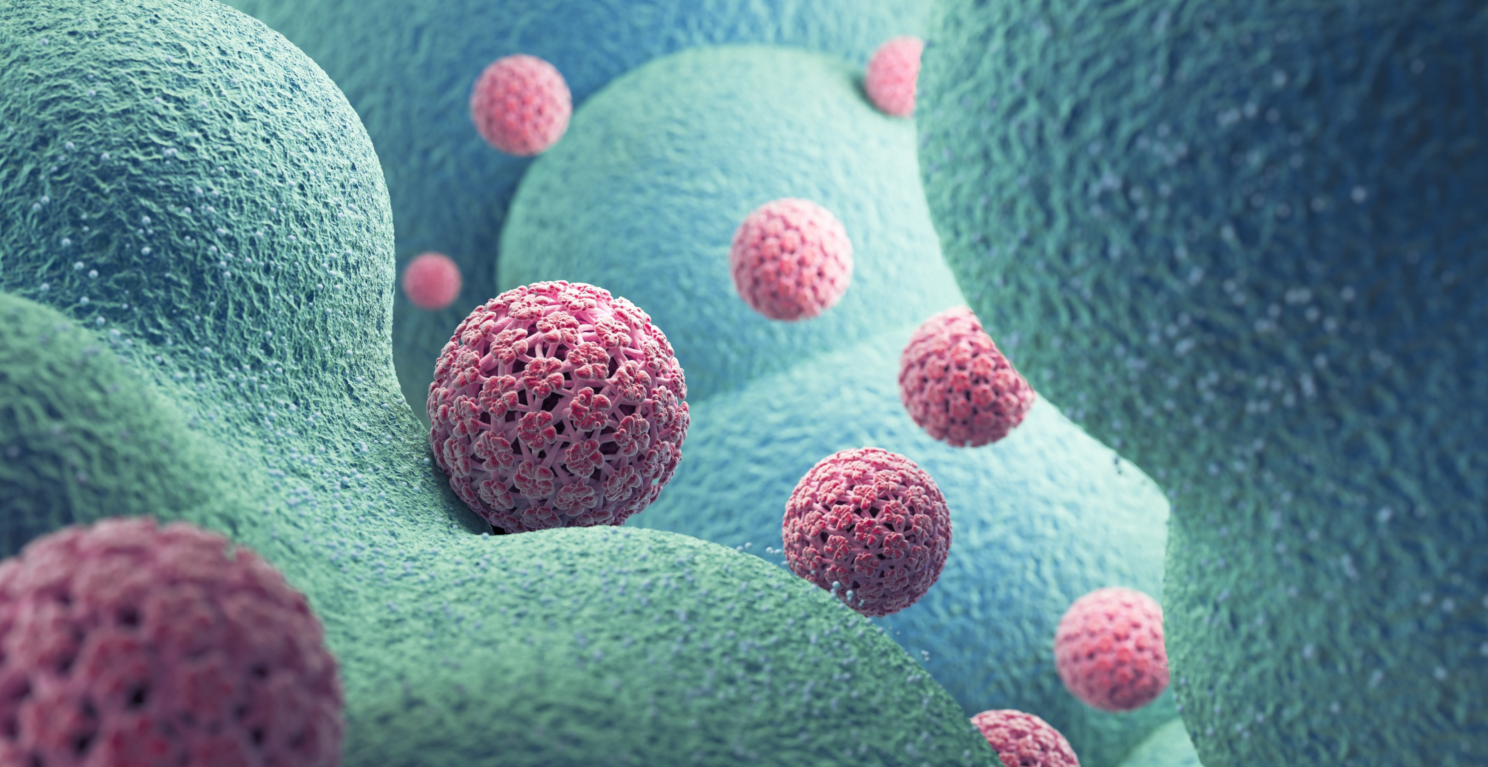 一切皆「輸入」:生活悄悄累積的毒素,為何讓你吃得健康卻仍不見好?