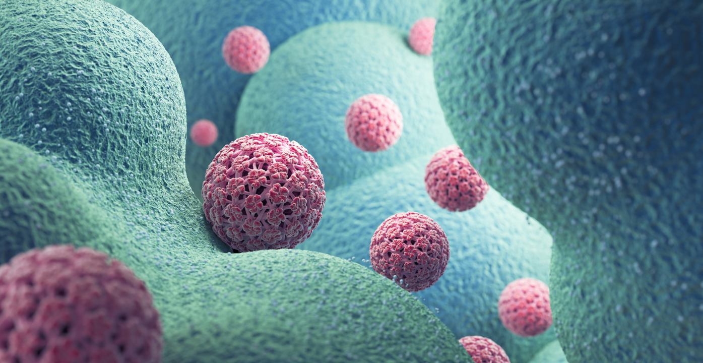 一切皆「輸入」:生活悄悄累積的毒素,為何讓你吃得健康卻仍不見好?