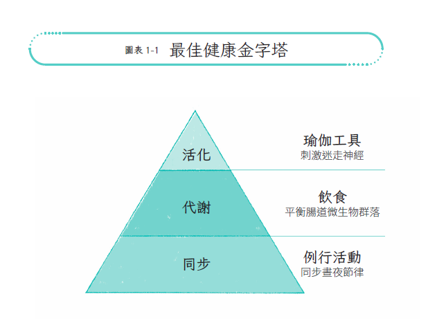 長壽不是抗老！提升細胞修復、降低發炎的真正健康關鍵