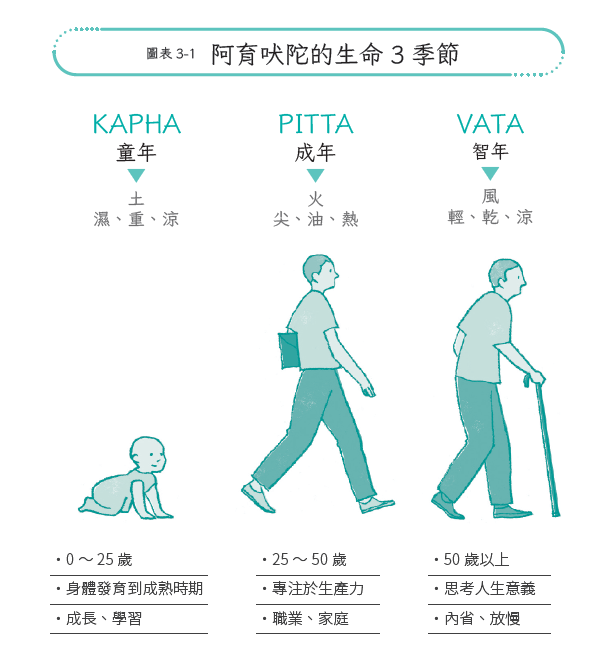 為何50歲後身體變乾、變薄、變慢?從生命三季節讀懂老化機制