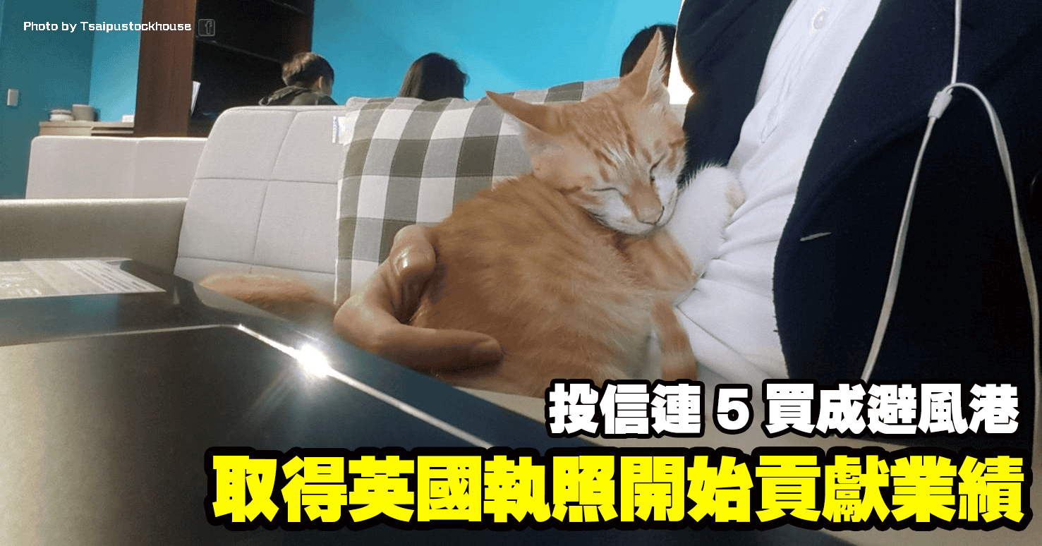 取得英國執照開始貢獻業績，投信連 5 買成避風港