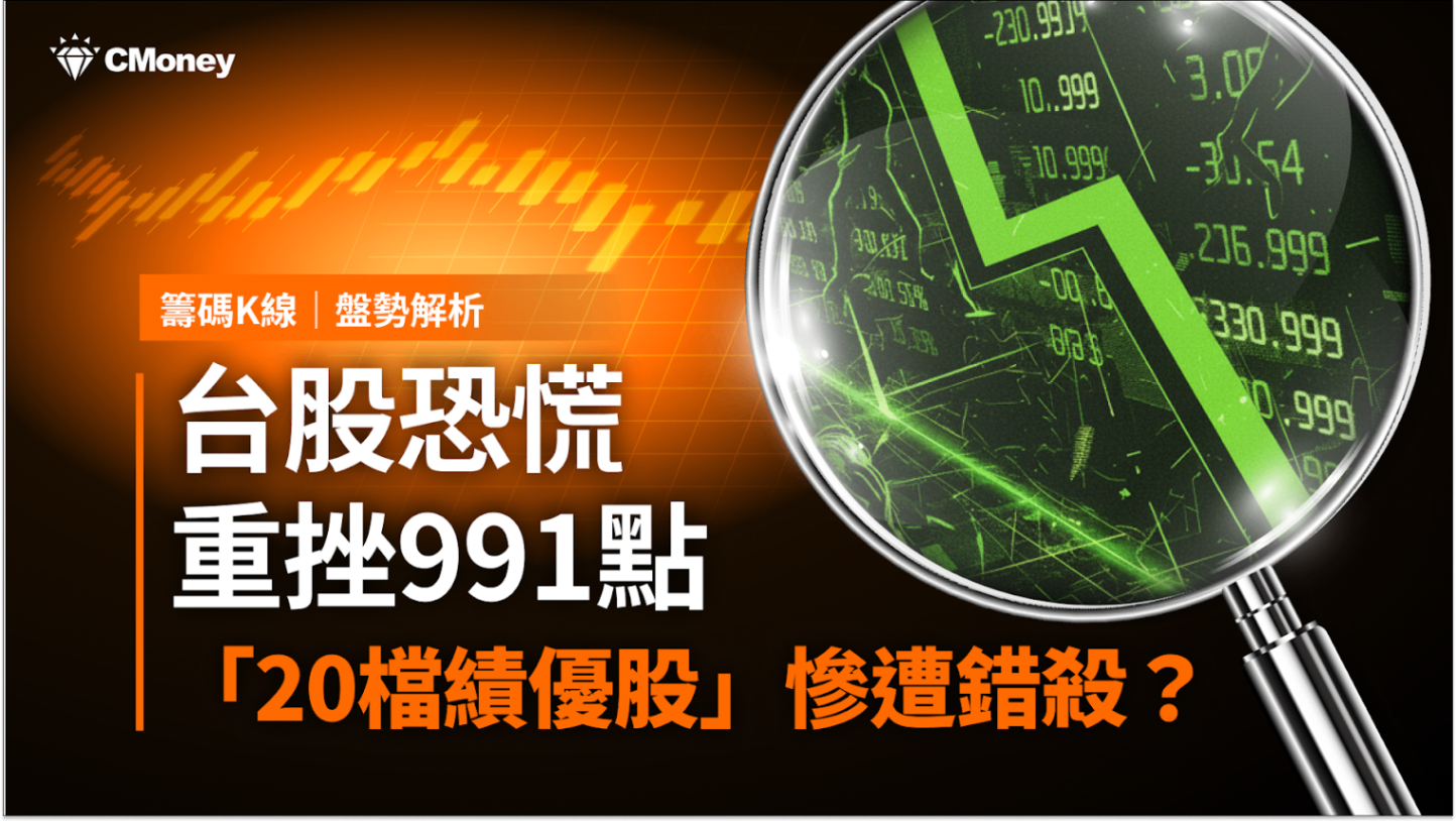 限時公開】台股恐慌重挫991點，「20檔績優股」慘遭錯殺？（加碼送VIP權限）-CMoney官方| CMoney投資網誌