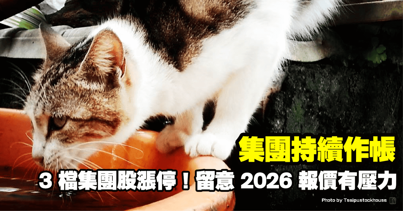 集團持續作帳,3 檔集團股漲停!留意 2026 報價有壓力