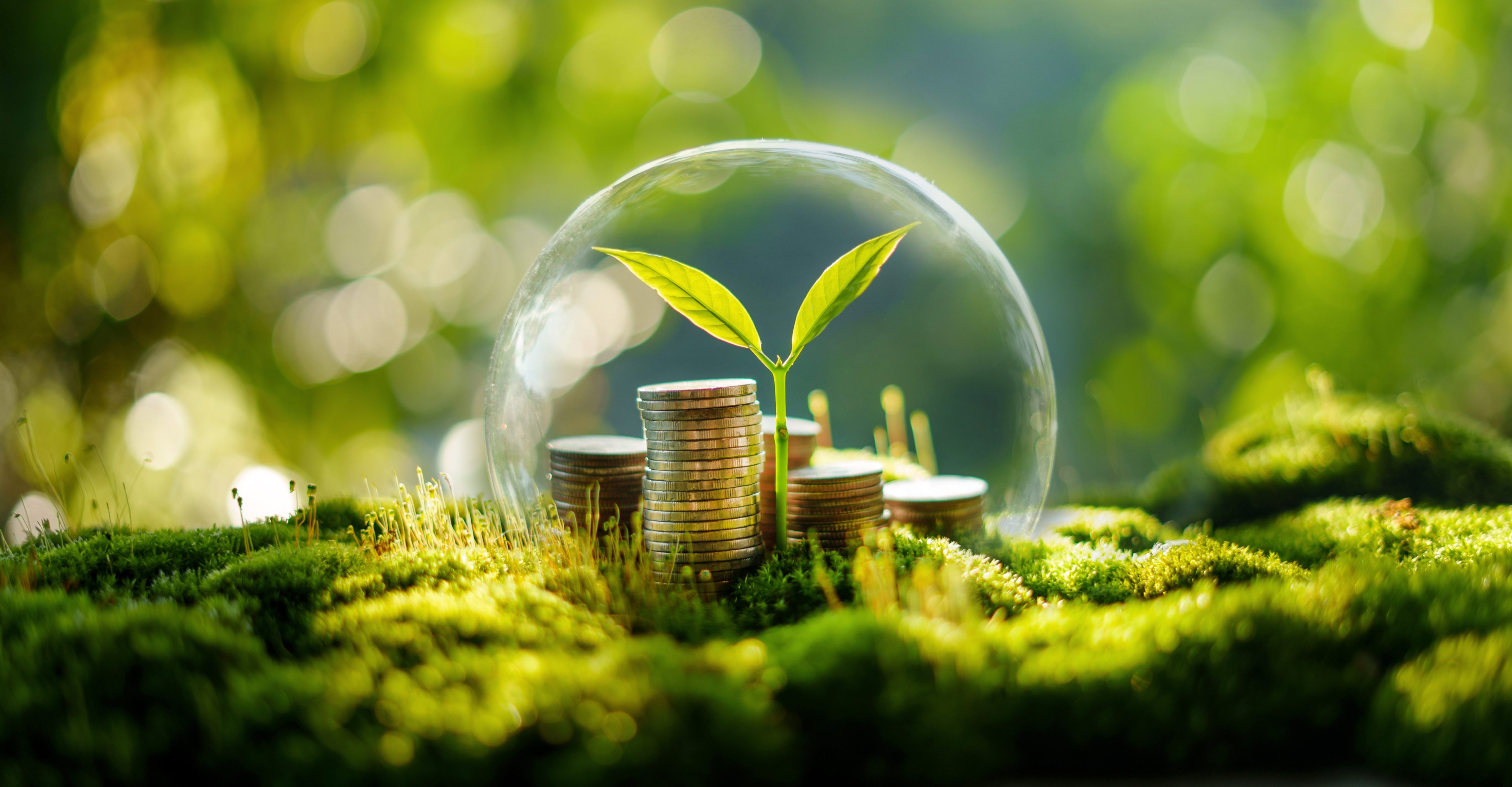 美語補習、拚名校真能贏在起跑點？專家籲盡早種下「投資搖錢樹」　老天爺的2道關卡不會放過任何人