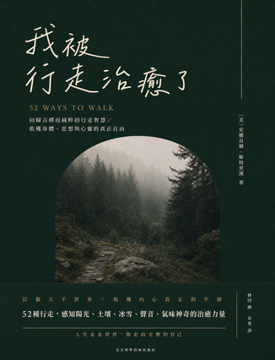 《我被行走治癒了》書封