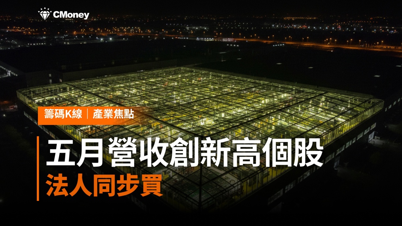 盤勢震盪不安,回歸基本面,這10檔五月營收創歷史新高個股,法人同步買