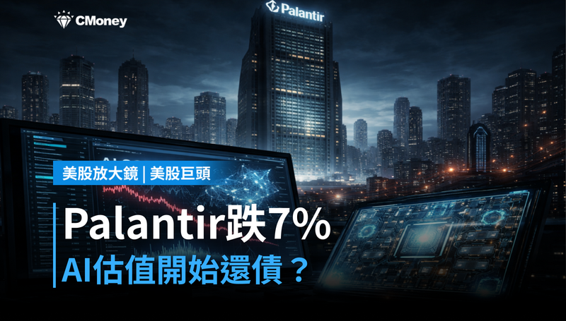 【美股巨頭】Palantir單日跌7%,AI軟體股的估值開始還債了?