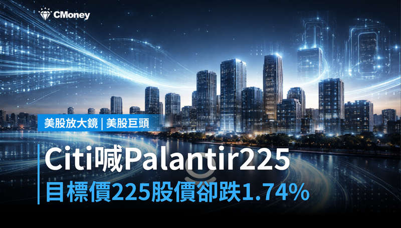 【美股巨頭】Citi喊Palantir目標價225美元，但股價昨天跌了1.74％