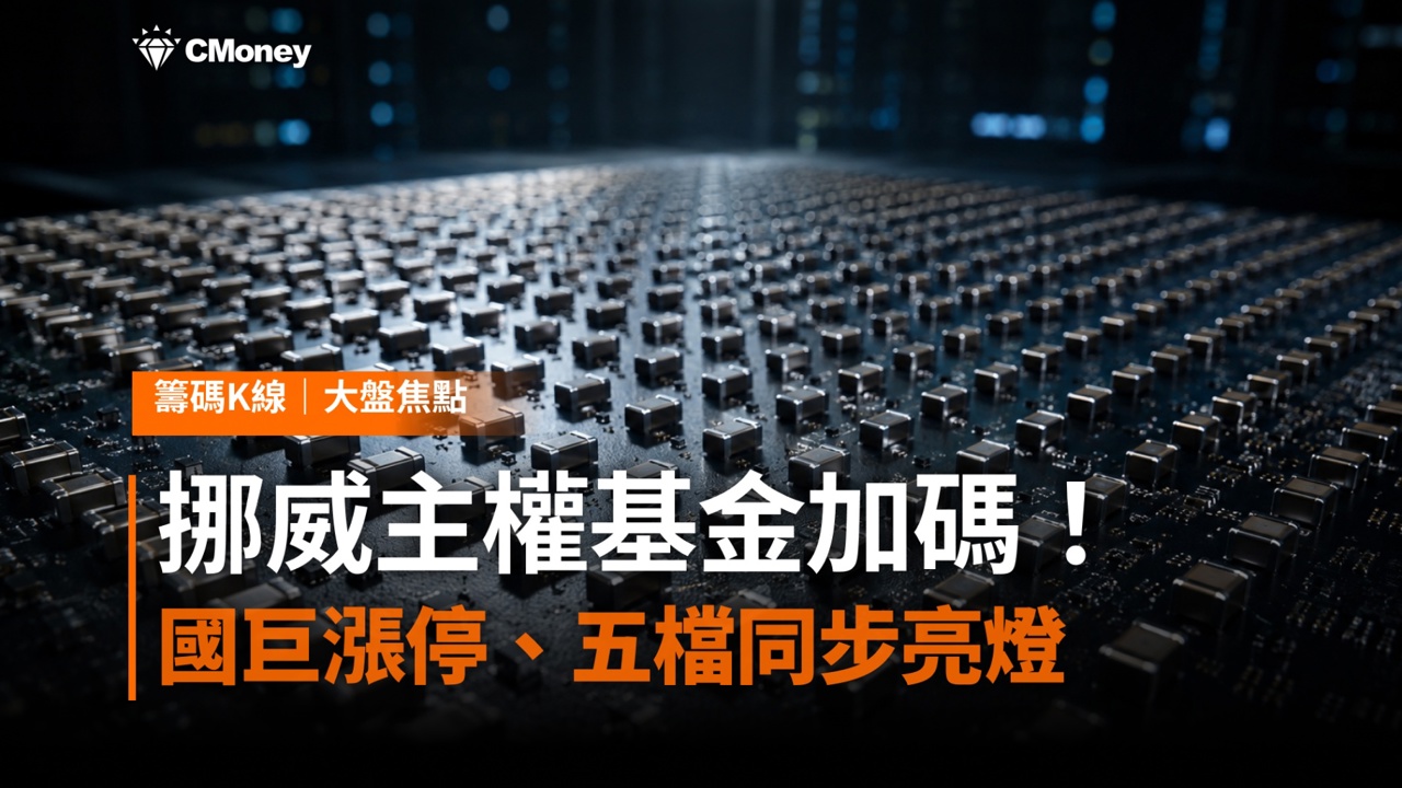 挪威主權基金悄悄加碼！國巨漲停帶動被動元件五檔同步亮燈，這波行情背後藏著什麼？
