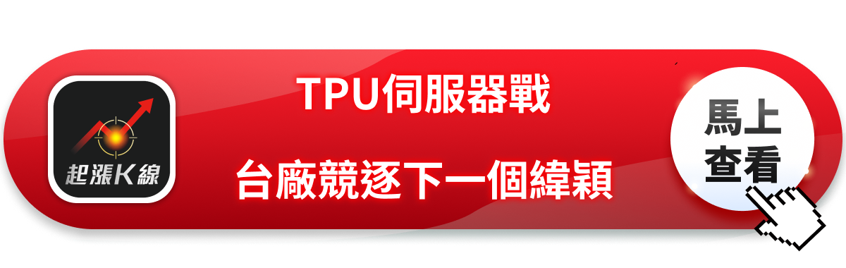 仁寶傳接Google TPU大單！台廠卡位誰是下一個緯穎？