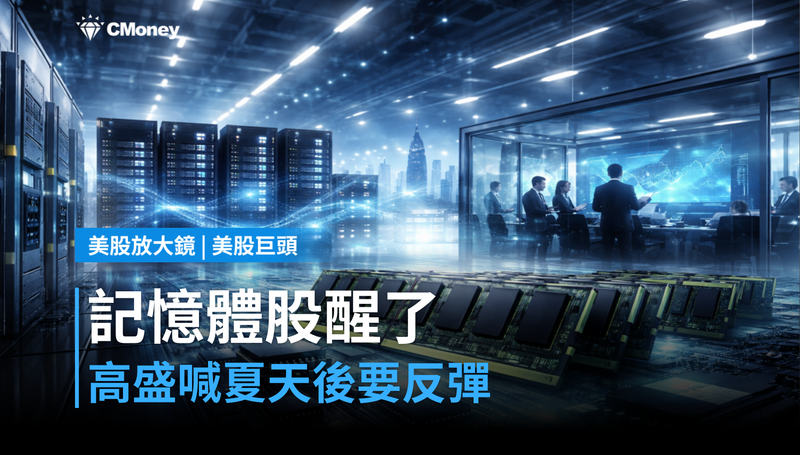 【美股巨頭】記憶體股沉睡整個夏天，高盛說：快醒了