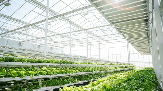 【即時新聞】鎖定農業商機！First Trust Indxx Global Agriculture ETF(FTAG)宣布最新季度配息，每股將發放0.0583美元