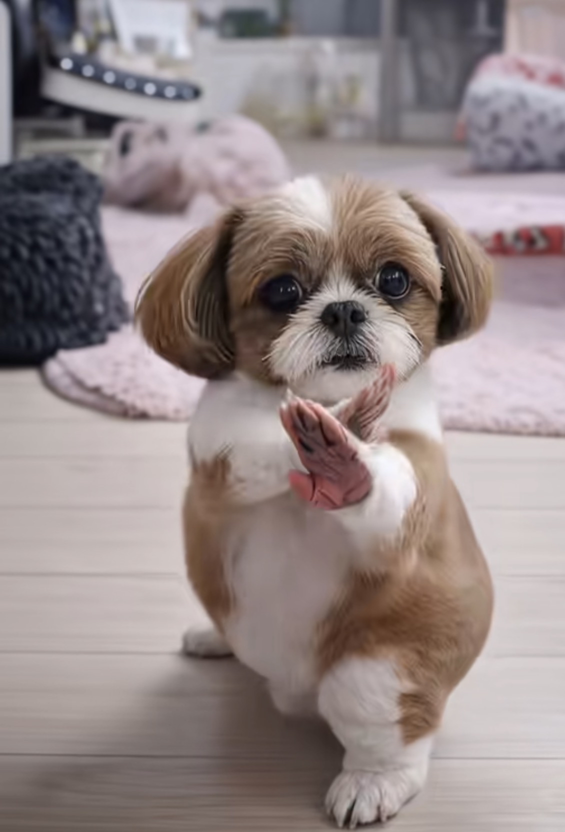 2454 聯發科- 1790見證歷史，空死你。｜CMoney 股市爆料同學會