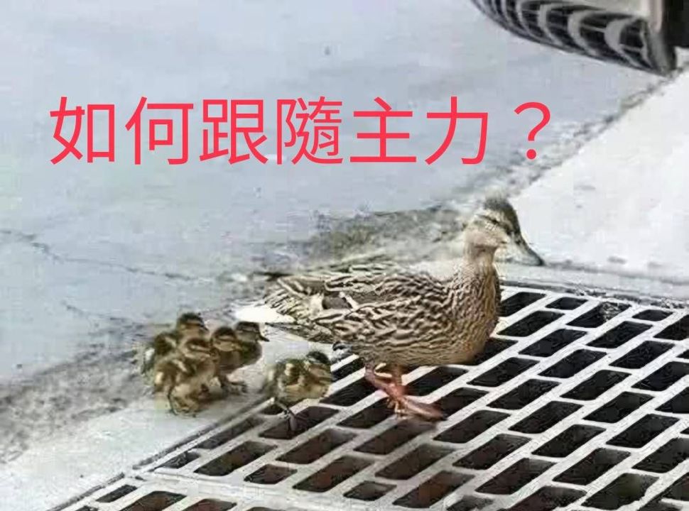 台北強哥|散戶致勝關鍵!手上有股票,如何跟單「主力」上下車?