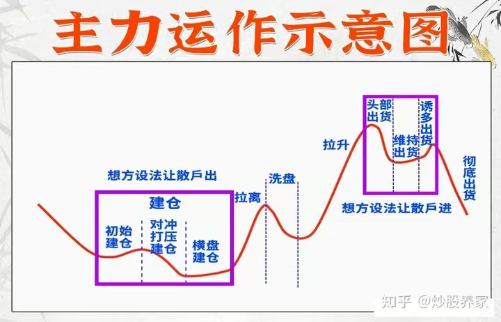 左側交易關鍵!先搞懂主力是如何運作一支股票?