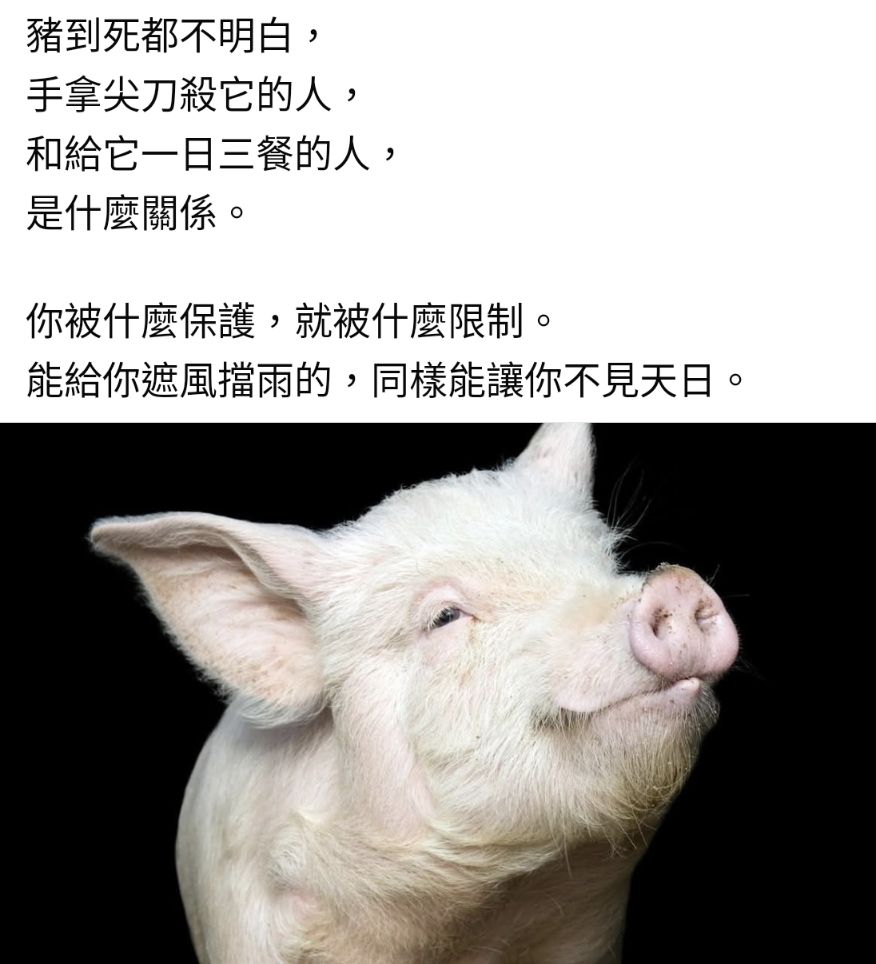 4119旭富的討論圖片