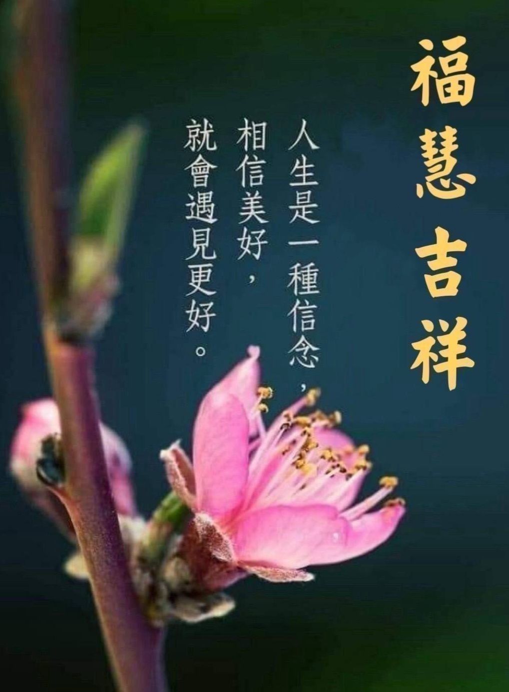 6573虹揚-KY的討論圖片