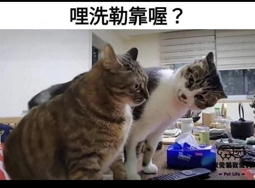 3705永信的討論圖片