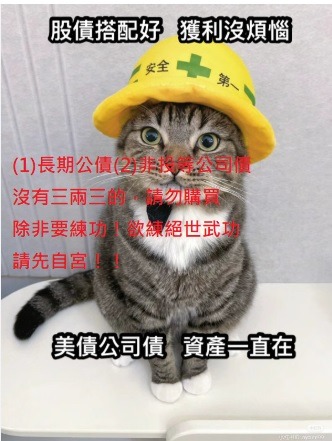 00719B元大美債1-3的討論圖片