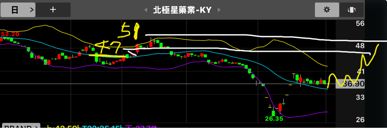 6550北極星藥業-KY的討論圖片