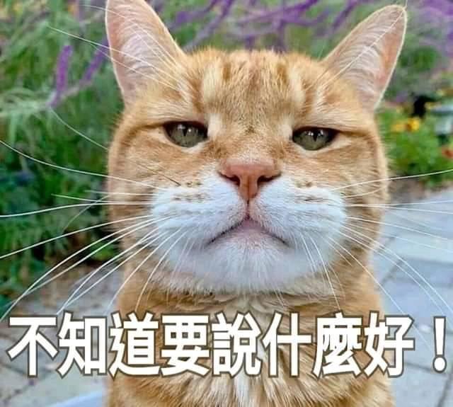 0056元大高股息的討論圖片