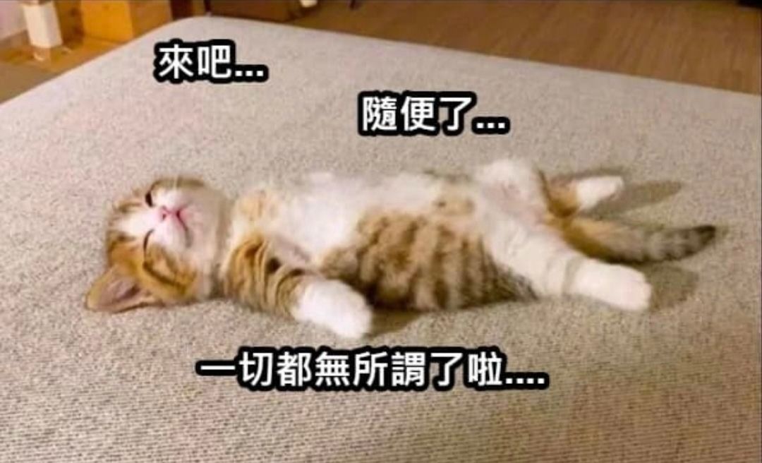 5904寶雅的討論圖片