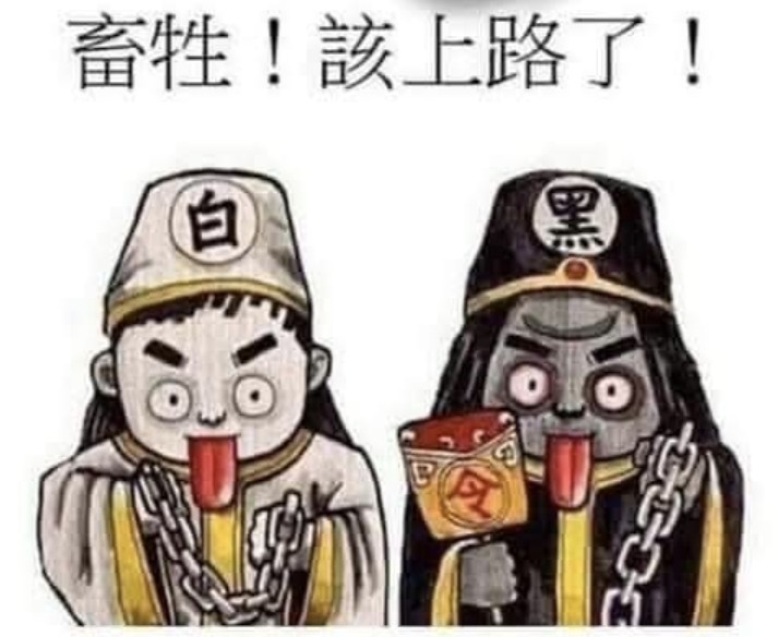 6535順藥的討論圖片