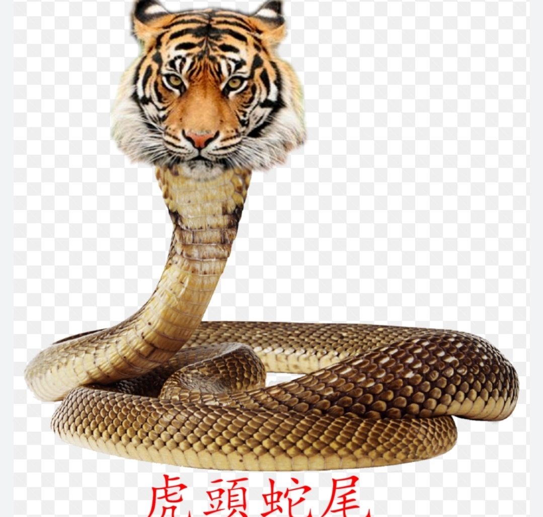2820華票的討論圖片