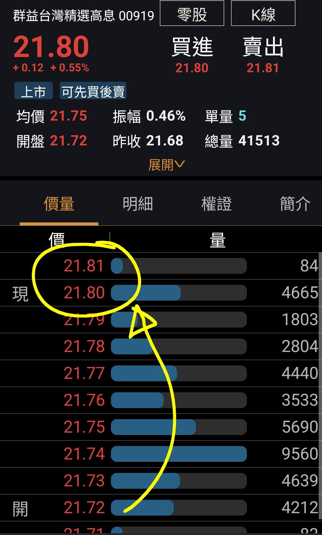 今日 股市 行情 00919 (98) 사진