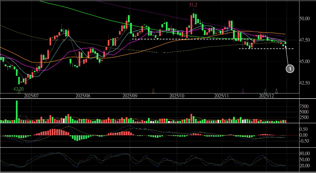 1229 聯華- 2025.12.11(四)收盤個人記錄非推廌1229聯...｜CMoney 股市爆料同學會