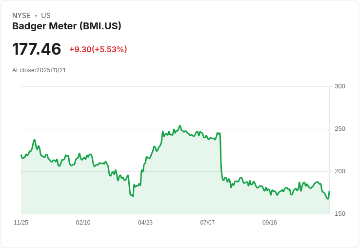 Badger Meter (BMI) 第三季業績強勁，未來成長潛力引發市場熱議！