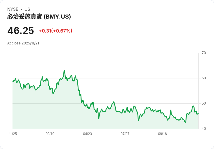 布里斯托-邁爾斯史奧公司(BMY)的風險評估：投資者應注意什麼？