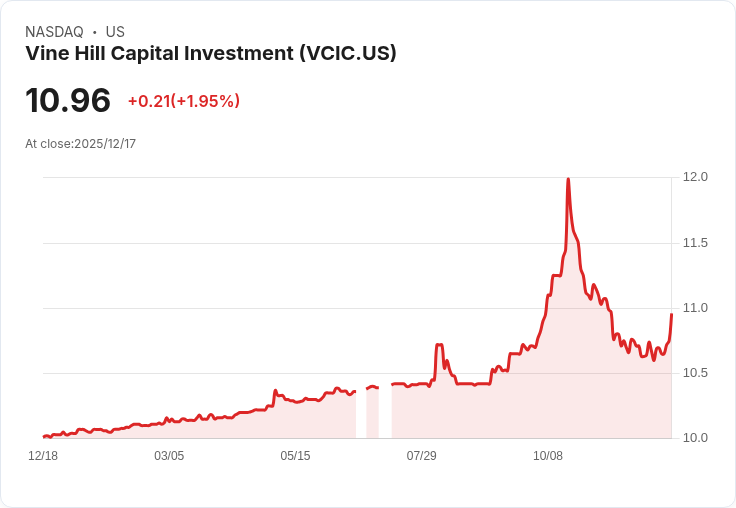 Vine Hill Capital Investment 預計於2025年進行2億美元IPO,投資者熱切期待!