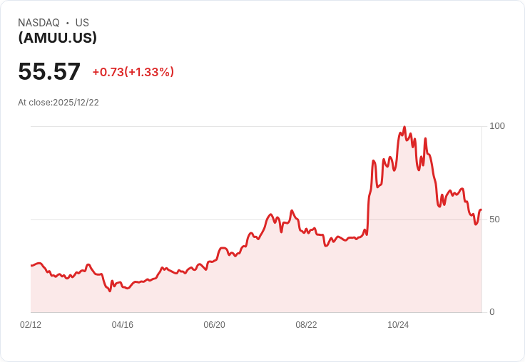 Direxion Daily AMD Bull 2X Shares 宣佈季度分配金為 $0.3171，投資者不可錯過！