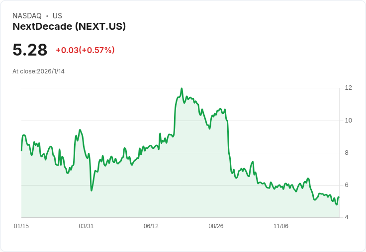 下一代公司(NEXT)潛力無窮，投資者不可錯過的牛市理論！